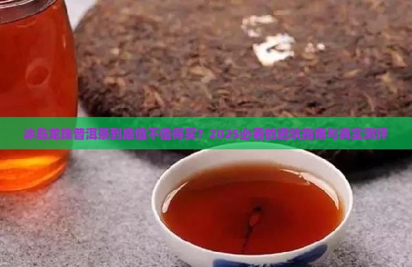 冰岛龙珠普洱茶