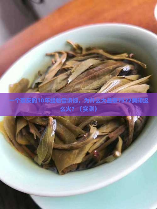 大益茶7572黄印