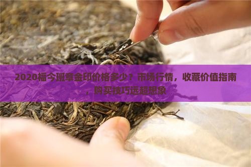 2020福今班章金印价格