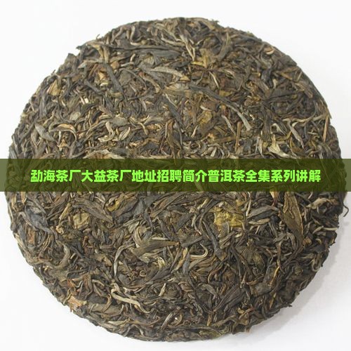 勐海茶厂大益茶厂