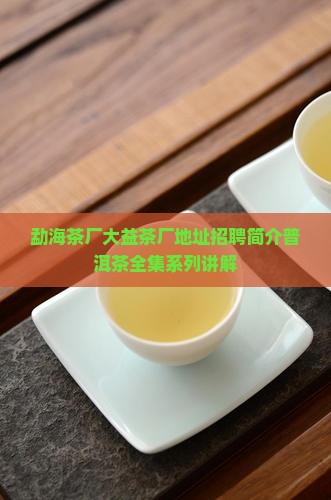勐海茶厂大益茶厂