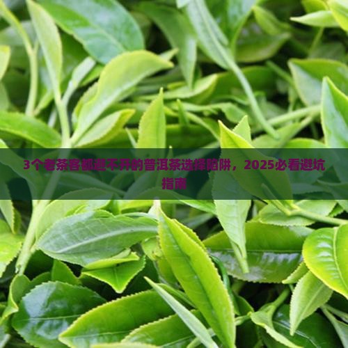 老茶如何选择普洱茶 老茶如何选择普洱茶