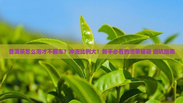 普洱茶冲泡比例推荐表格