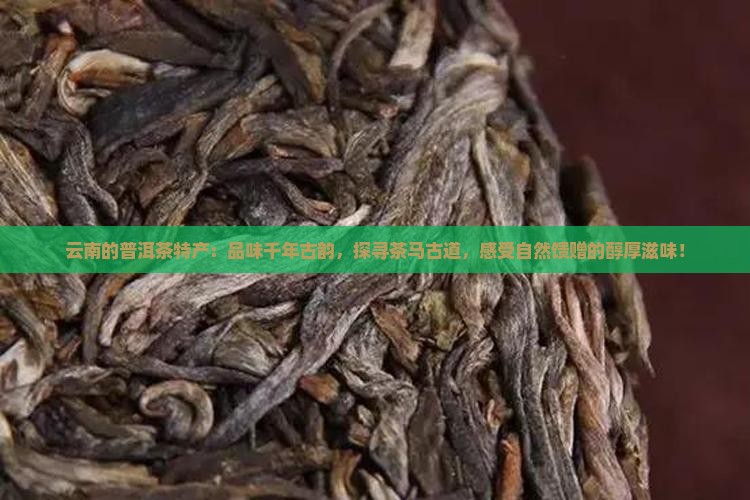 云南的普洱茶特产