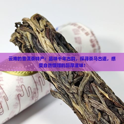 云南的普洱茶特产