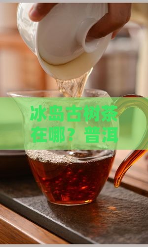 冰岛古树茶在哪个山头