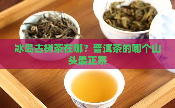 冰岛古树茶在哪个山头