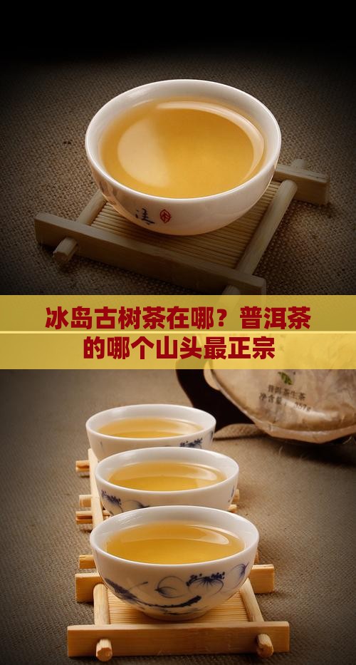 冰岛古树茶在哪个山头