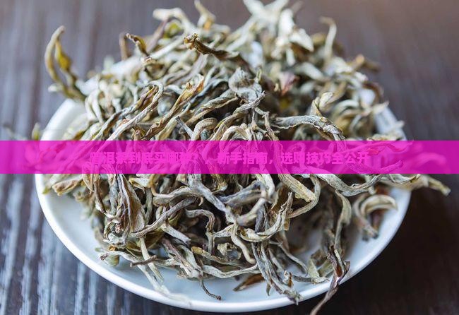 普洱茶到底买哪种