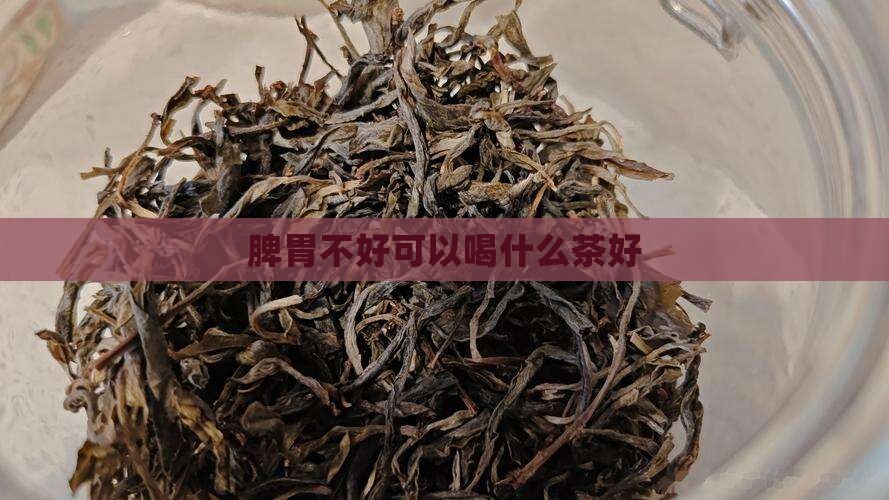 脾胃不好可以喝什么茶好