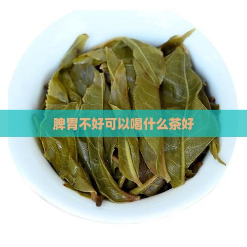 脾胃不好可以喝什么茶好