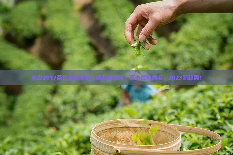 冰岛2017茶纪念茶限量