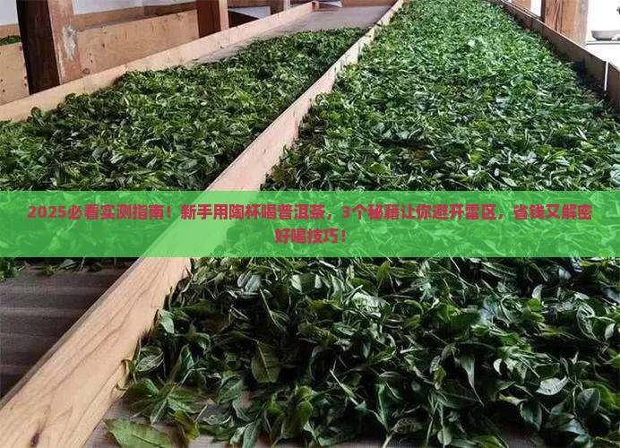 用陶杯喝普洱茶