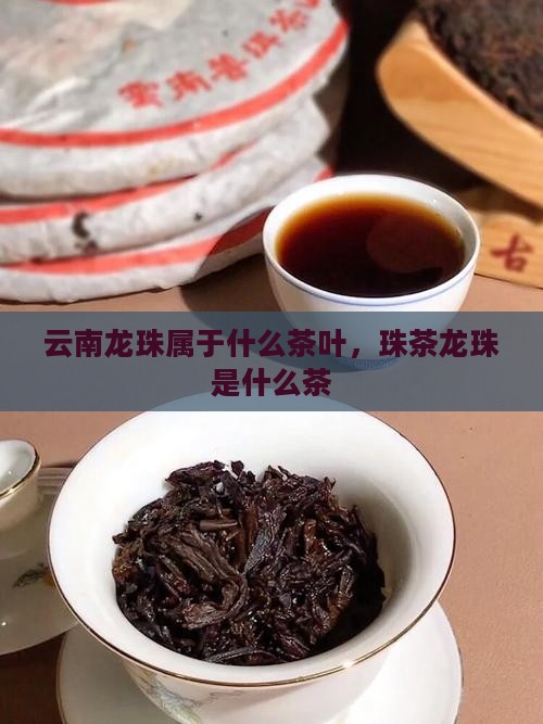 云南龙珠茶属于什么茶