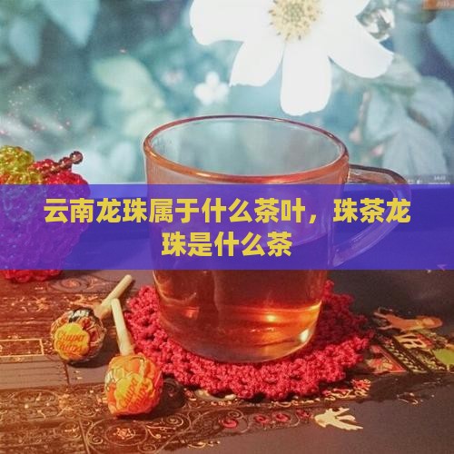 云南龙珠茶属于什么茶