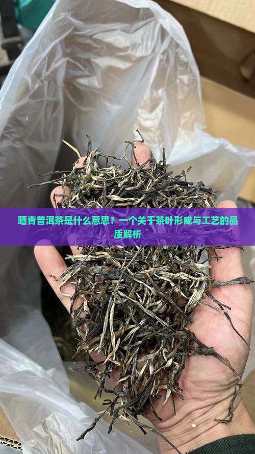 晒青普洱茶什么意思 晒青普洱茶什么意思