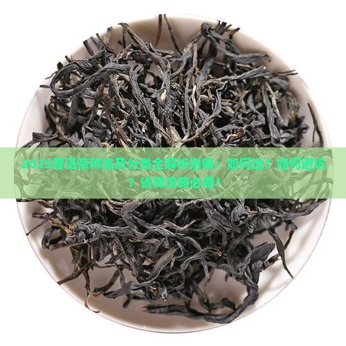 普洱茶种类及分类