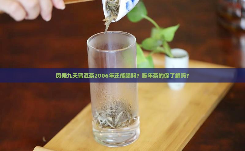 凤舞九天普洱茶2006年