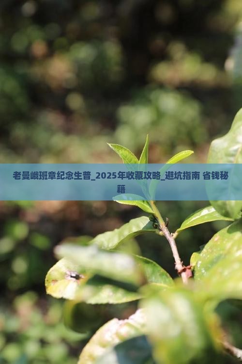 老曼峨班章纪念生普