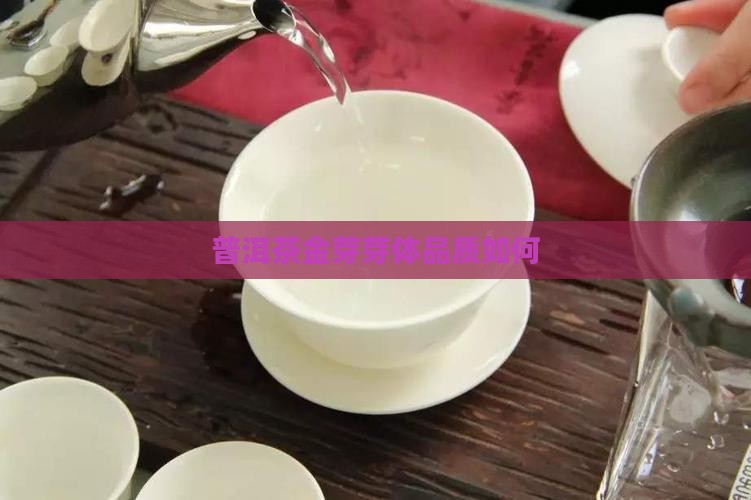 普洱茶生茶金芽怎么样