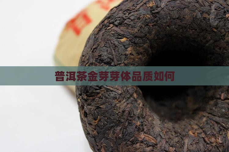 普洱茶生茶金芽怎么样
