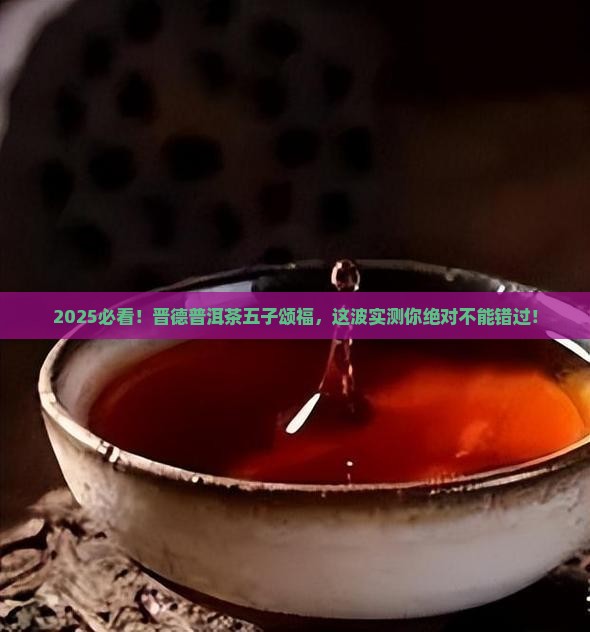 晋德普洱茶五子颂福 晋德普洱茶五子颂福