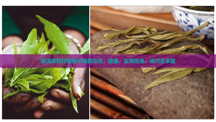 普洱茶和柠檬煮水喝的功效