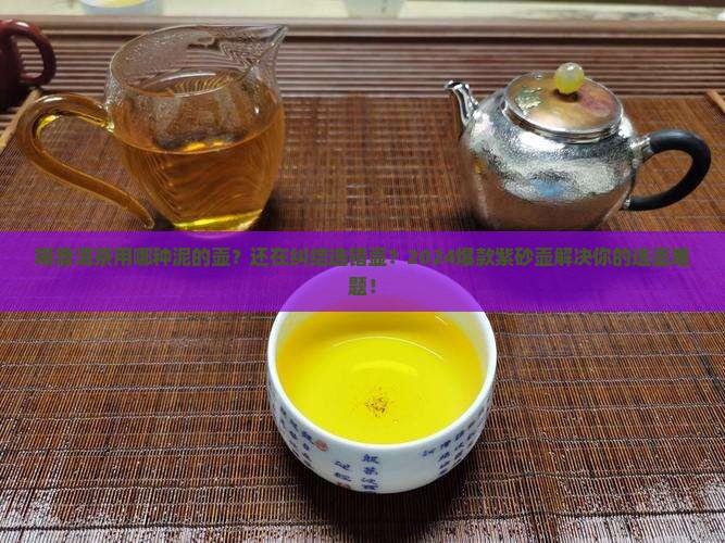喝普洱茶用哪种泥的壶