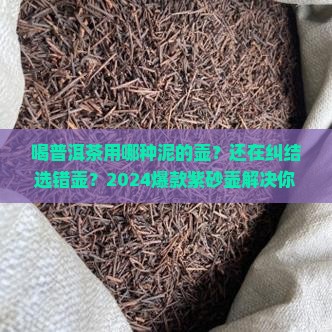 喝普洱茶用哪种泥的壶