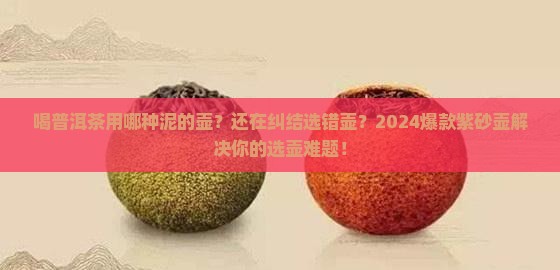 喝普洱茶用哪种泥的壶