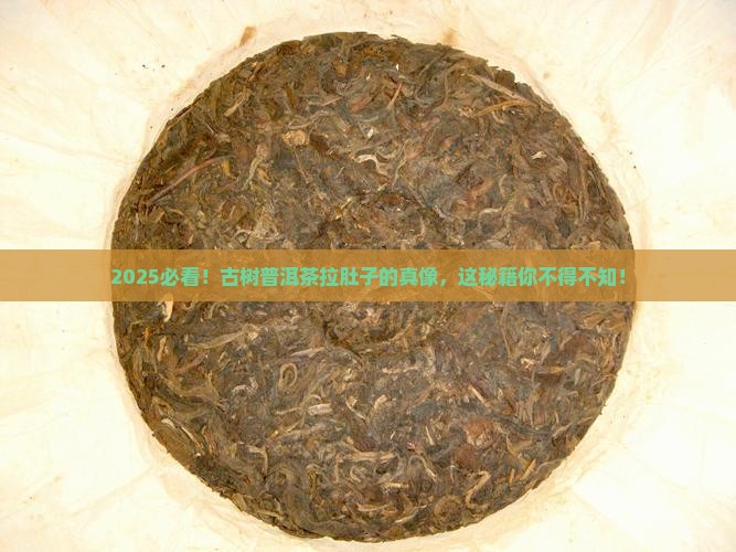 为什么喝古树普洱茶拉肚子