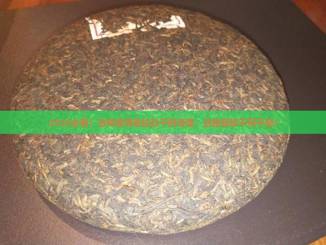 为什么喝古树普洱茶拉肚子