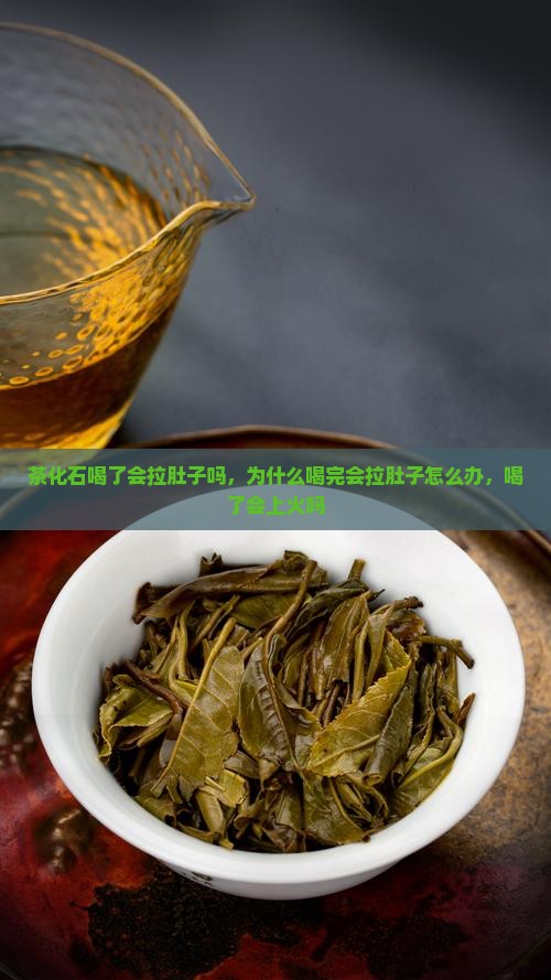 茶化石喝了会拉肚子吗