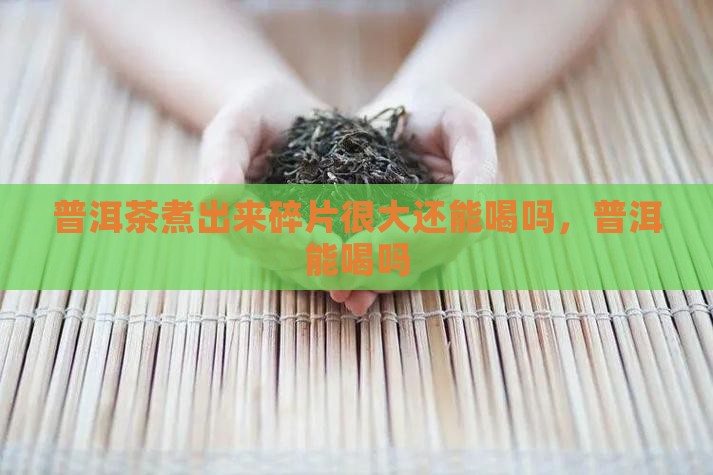 普洱茶煮出来碎片很大能喝吗