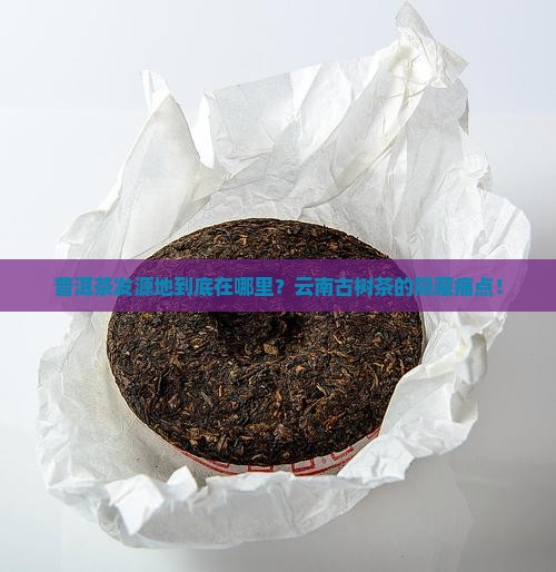 普洱茶发源地址