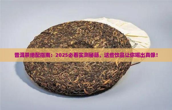 普洱茶可以和什么同喝