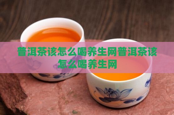 普洱茶该怎么喝养生网