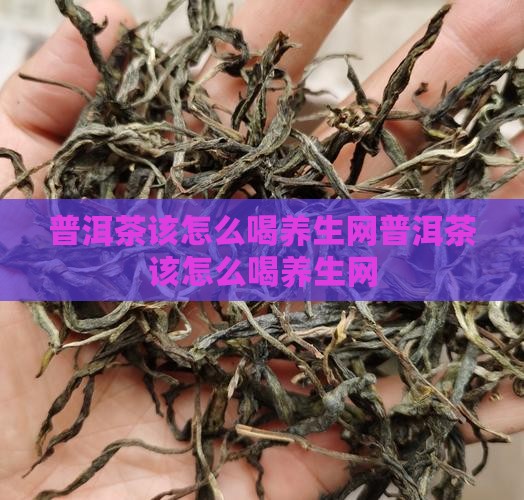 普洱茶该怎么喝养生网