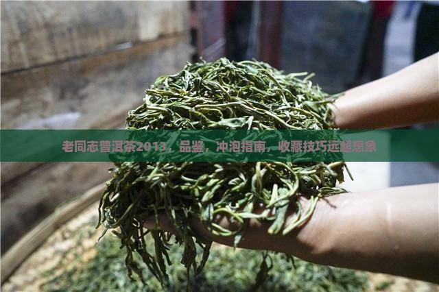 老同志普洱茶2013