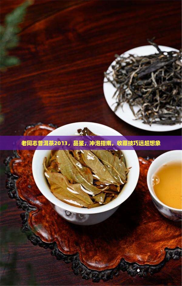 老同志普洱茶2013