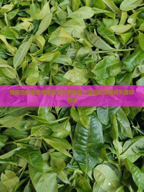 班章古树茶普洱茶砖