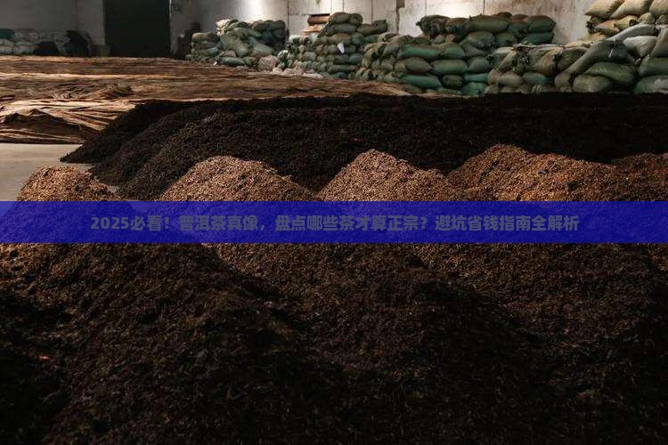 哪些茶算普洱茶