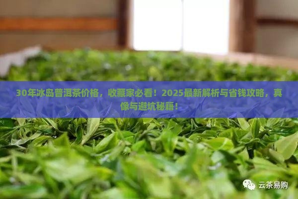 30年冰岛普洱茶价格
