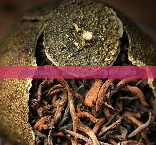 圣邦普洱茶怎么样