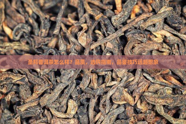 圣邦普洱茶怎么样