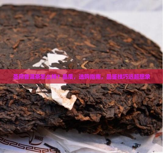 圣邦普洱茶怎么样