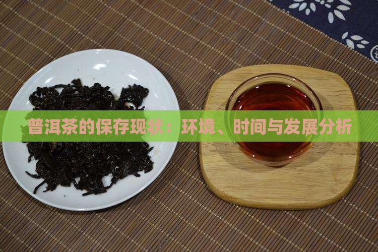 普洱茶的保存现状