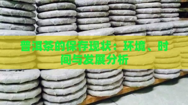 普洱茶的保存现状