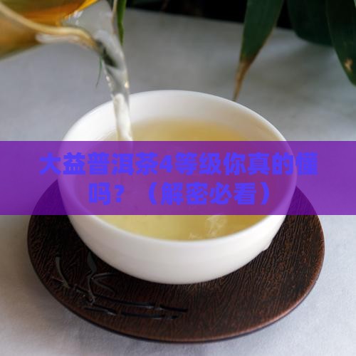 大益普洱茶4等级