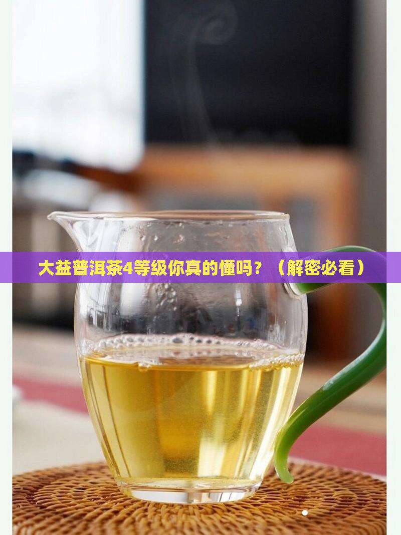 大益普洱茶4等级
